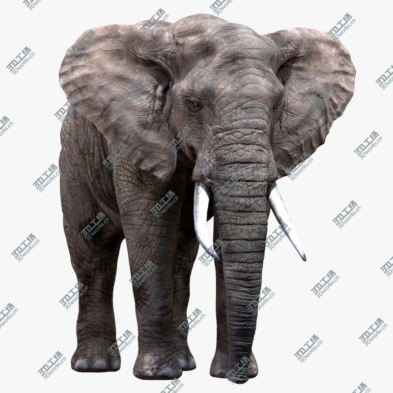 images/goods_img/202104022/Elephant(Rigged) 3D model/1.jpg